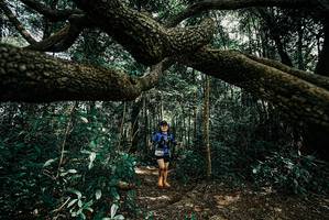 BIB: 
                            <button type="button" onclick="openModal(25705324)" class="btn btn-primary btn-sm float-right btn-popup" data-toggle="modal" data-target=".modal-high-quality">
                        <i class="fas fa-shopping-cart"></i> Add to Cart
                    </button>
                                            <button type="button" onclick="isThisMe(25705324, true)" class="btn btn-success btn-sm float-right btn-popup btn-isme hidden" data-toggle="tooltip" data-placement="bottom" title="นี่คือรูปของคุณใช่ไหม คลิกที่นี่เพื่อเอาเข้าอัลบั้ม">
                        <i class="fas fa-plus"></i> Add to album
                    </button>
                    <button type="button" onclick="isThisMe(25705324, false)" class="btn btn-warning btn-sm float-right btn-popup btn-isnotme hidden">
                        <i class="fas fa-ban"></i> Remove from album
                    </button>